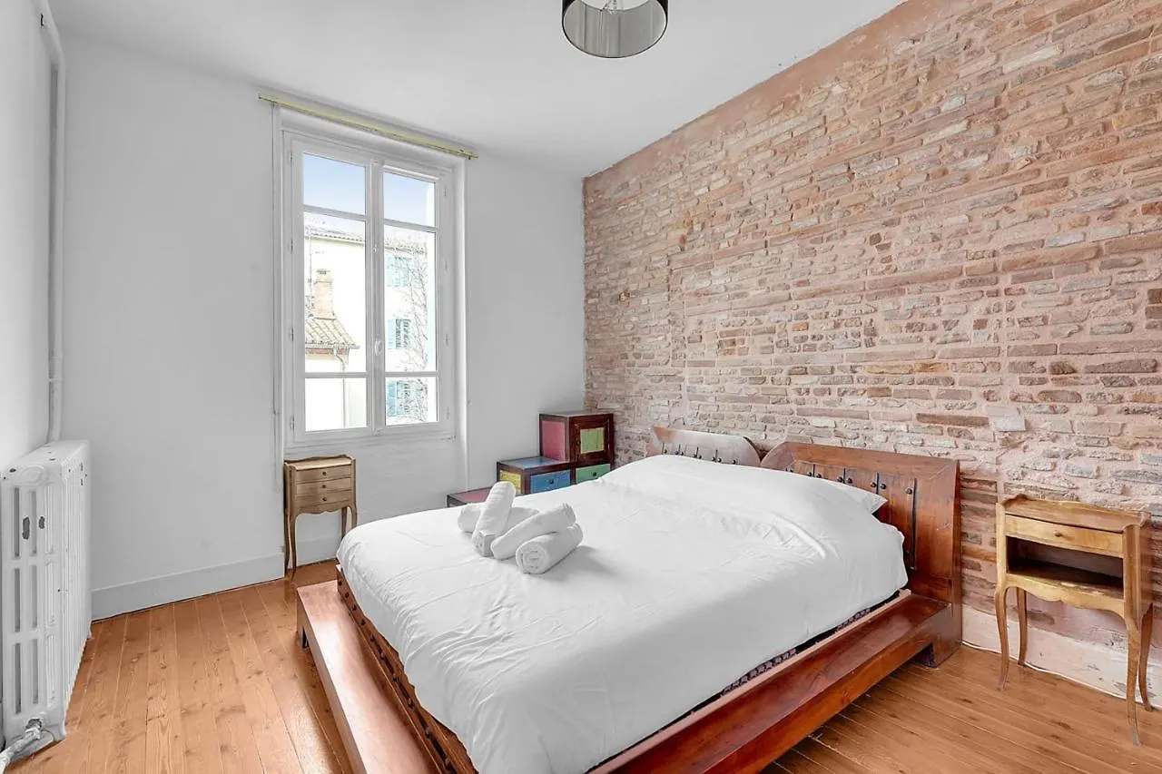 Rare Pearl Very Quiet And Bright In Toulouse Apartment